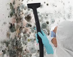 Why You Should Choose Our Mold Remediation Services in Fair Oaks Ranch, TX